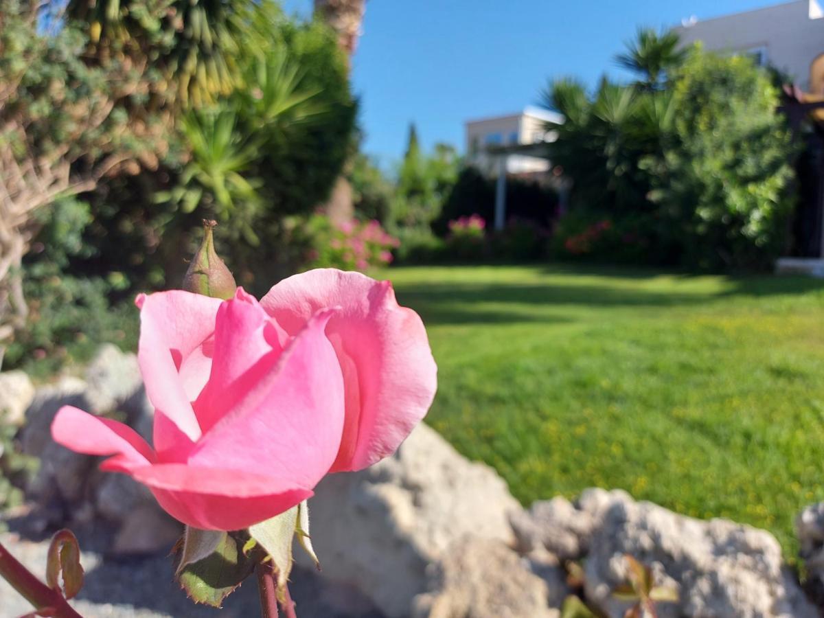 Coral Bay Suite Cyprus 外观 照片